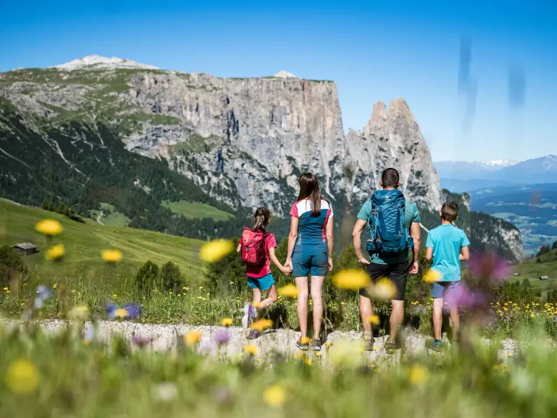 Familie mit Kindern beim Wandern auf einer Blumenwiese mit Blick auf das Schlernmassiv